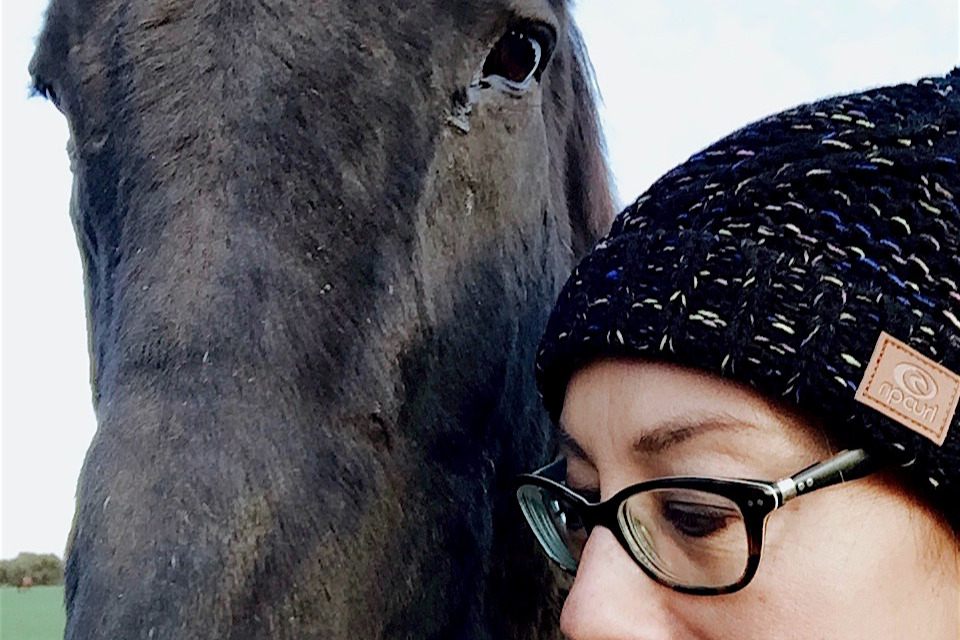 Calan Horse Sanctuary: A Glimpse into Daily Care and Challenges Faced by Rescued Horses
