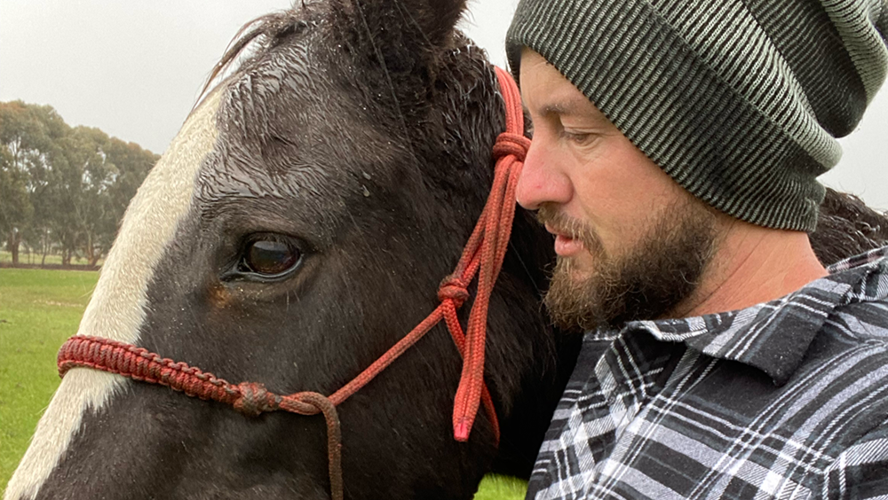 Horse Hoof Care and Botfly Prevention at Calan Pastures, Australia
