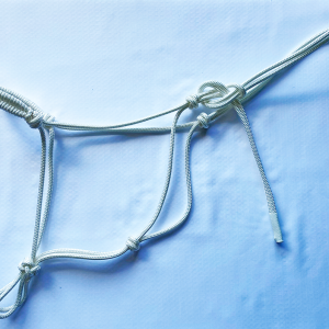 Forever Home Halters "The Brodie"