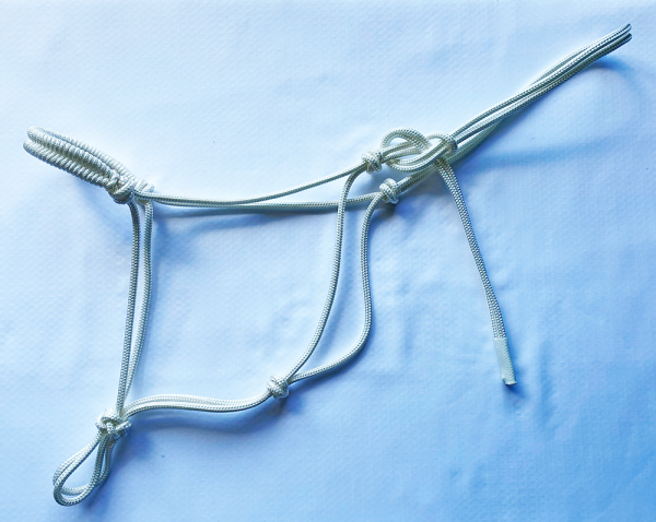 Forever Home Halters "The Brodie"